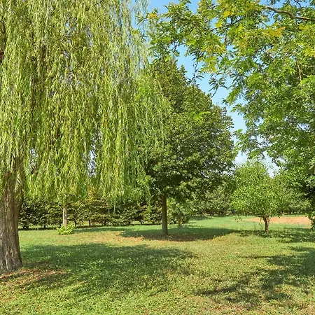 Forzello * Ariano nel Polesine